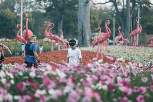 BIB: 
                            <button type="button" onclick="openModal(27344001)" class="btn btn-primary btn-sm float-right btn-popup" data-toggle="modal" data-target=".modal-high-quality">
                        <i class="fas fa-shopping-cart"></i> Add to Cart
                    </button>
                                            <button type="button" onclick="isThisMe(27344001, true)" class="btn btn-success btn-sm float-right btn-popup btn-isme hidden" data-toggle="tooltip" data-placement="bottom" title="นี่คือรูปของคุณใช่ไหม คลิกที่นี่เพื่อเอาเข้าอัลบั้ม">
                        <i class="fas fa-plus"></i> Add to album
                    </button>
                    <button type="button" onclick="isThisMe(27344001, false)" class="btn btn-warning btn-sm float-right btn-popup btn-isnotme hidden">
                        <i class="fas fa-ban"></i> Remove from album
                    </button>